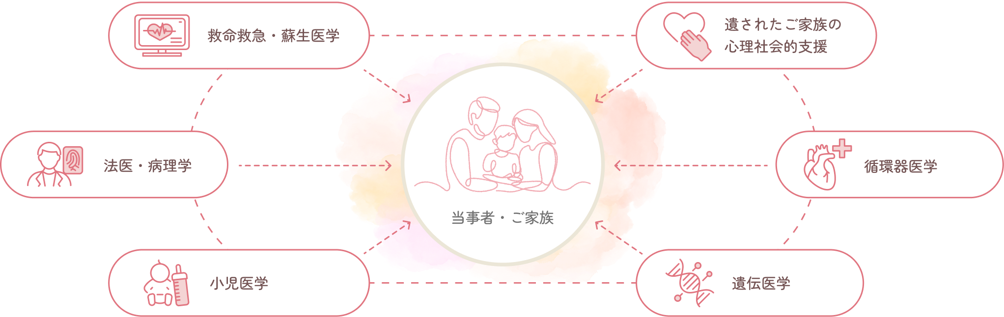 対応領域の図：当事者・ご家族を中心に、救命救急・蘇生医学、法医・病理学、小児医学、遺伝医学、循環器医学、遺された家族の心理社会的支援の6領域が連携している